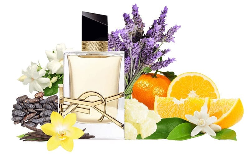 Choisir son parfum - Printemps